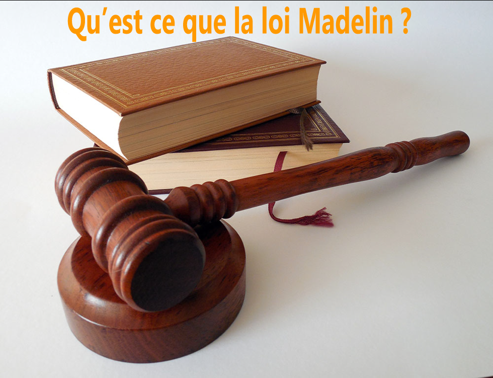 Qu'est ce que la Loi Madelin ?
